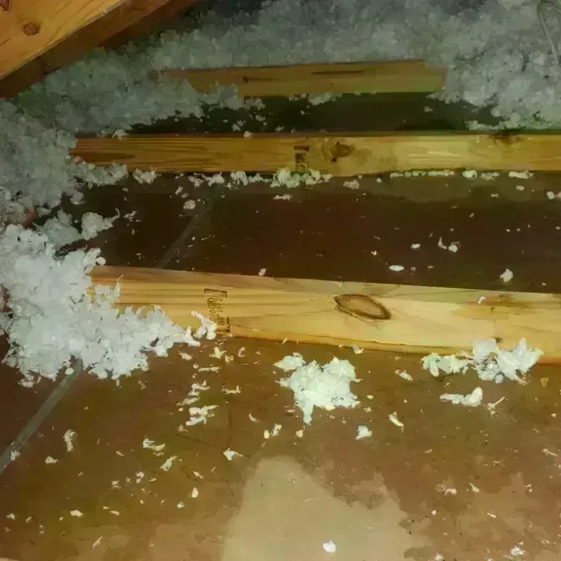 Attic Water Damage in Denison, IA